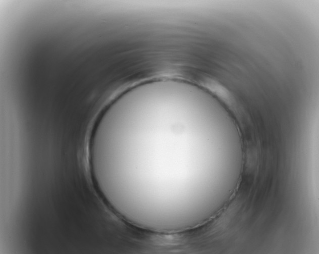 X0000089851286200707051108