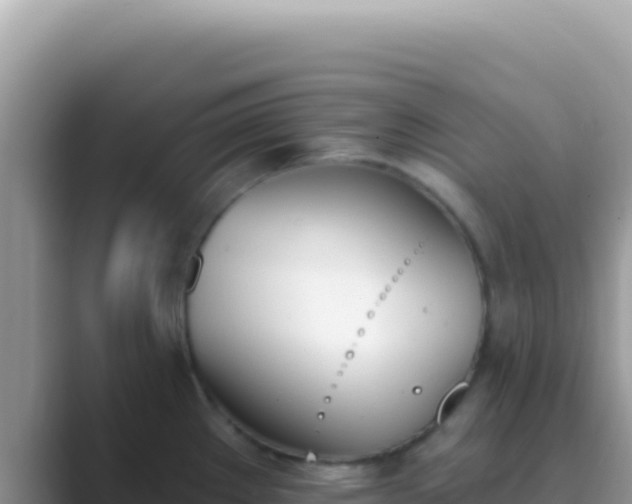 X0000089851289200707051108