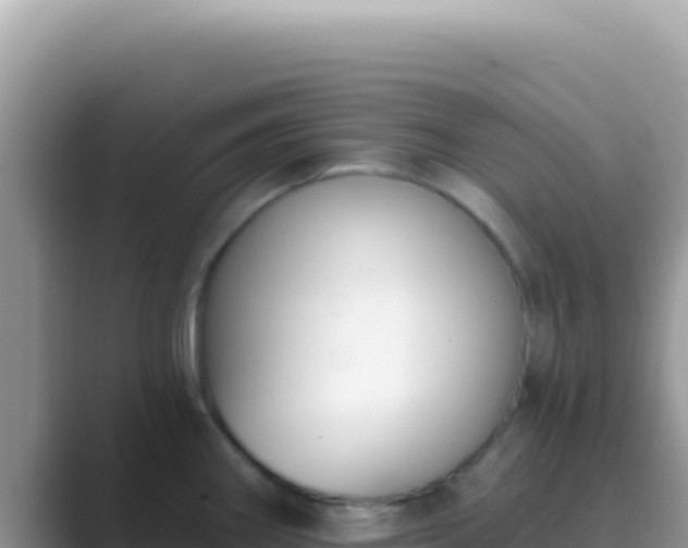X0000089851290200707051108