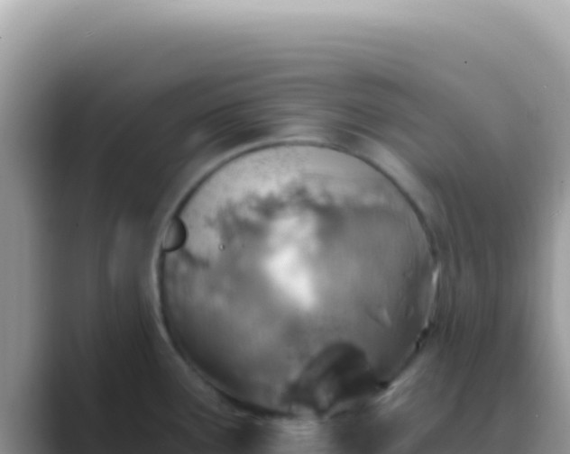 X0000089851291200707051108