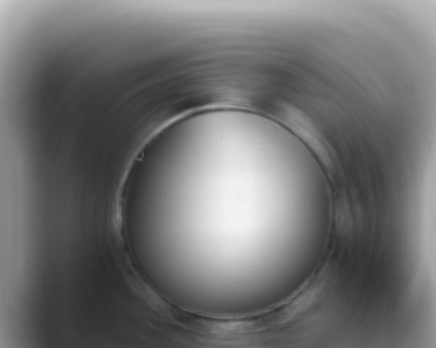 X0000089851292200707051108