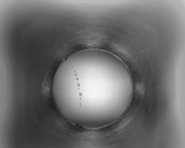 X0000089851300200707051107
