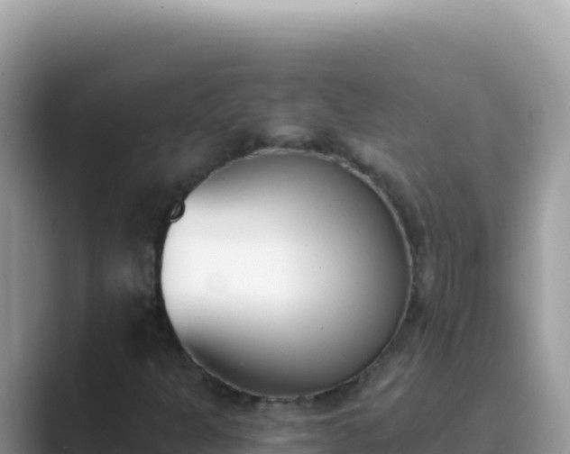 X0000089851301200707051107