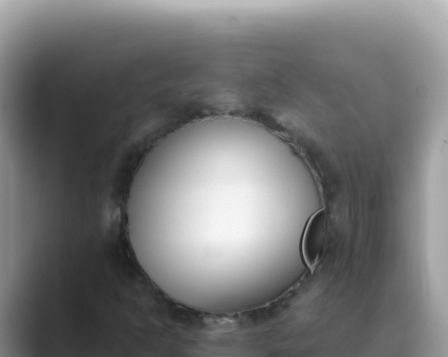 X0000089851302200707051107