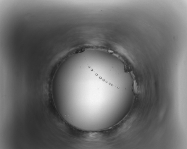 X0000089851304200707051107