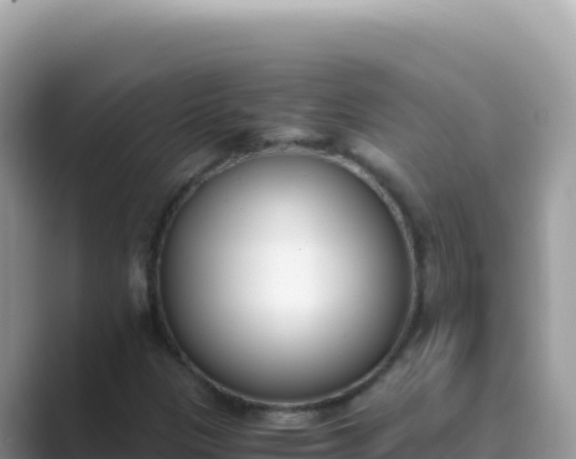 X0000089851305200707051107