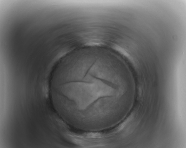 X0000089851306200707051107