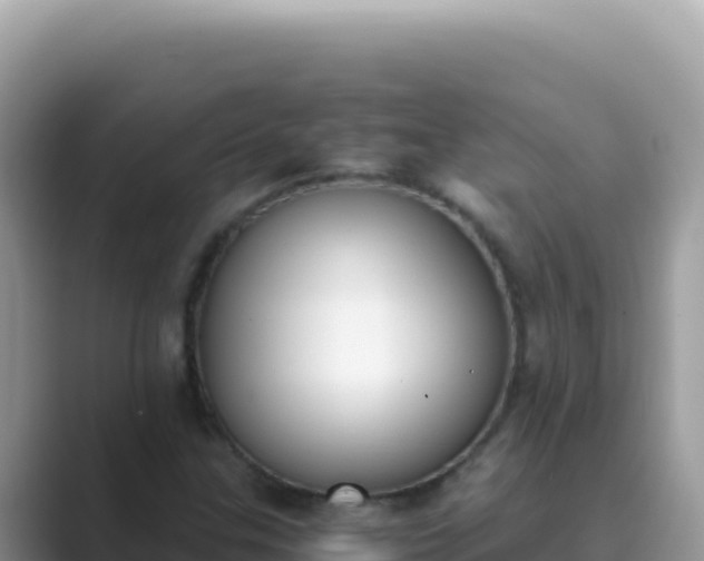 X0000089851307200707051107