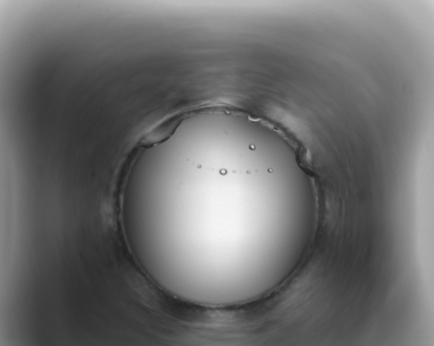 X0000089851308200707051108