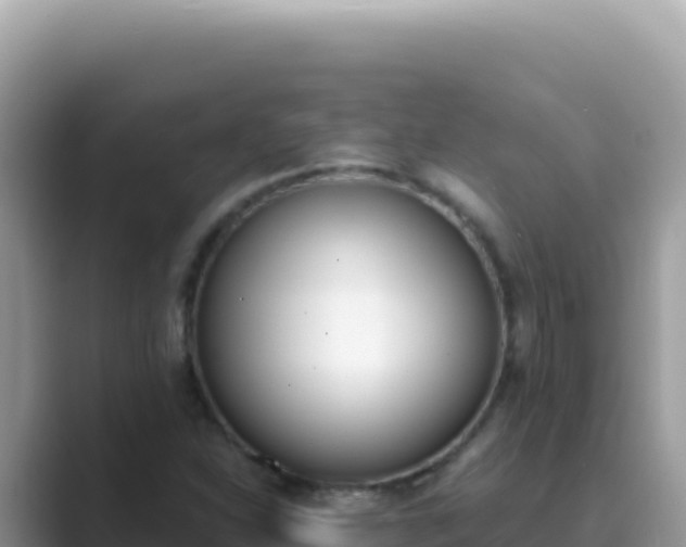 X0000089851310200707051108