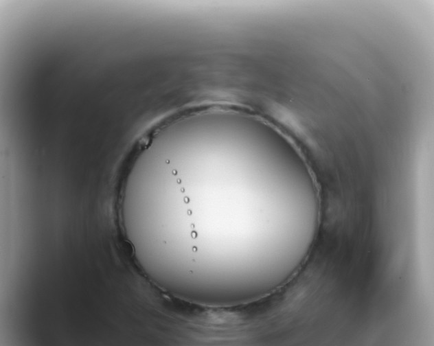 X0000089851312200707051108