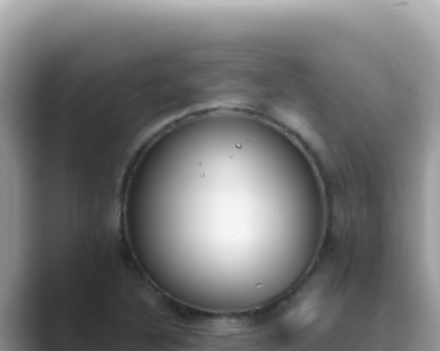 X0000089851316200707051108