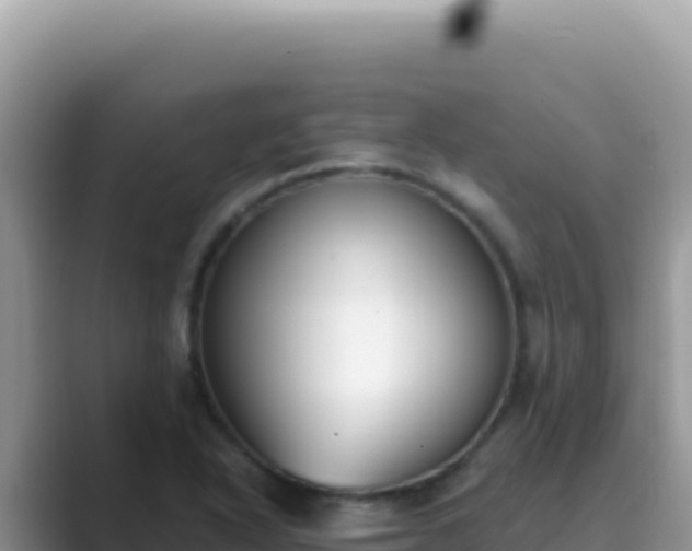 X0000089851318200707051108