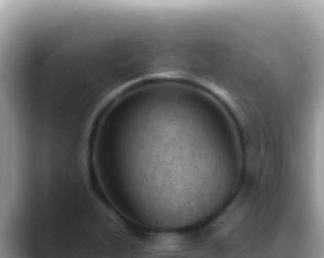 X0000089851319200707051108