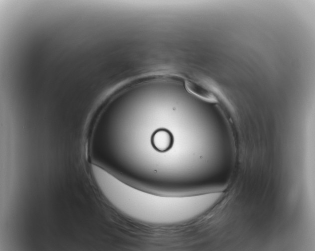 X0000089851320200707051108
