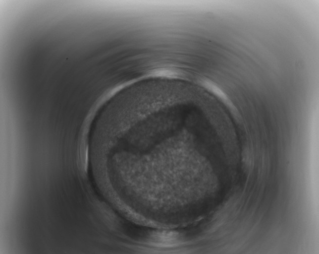 X0000089851323200707051108