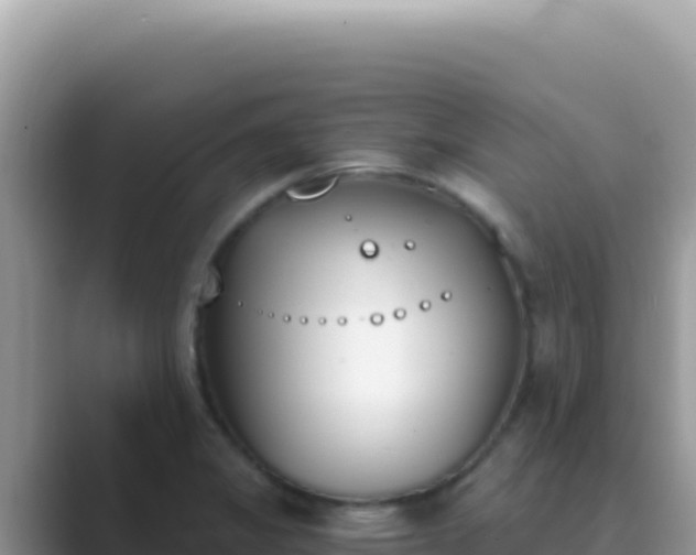 X0000089851325200707051108