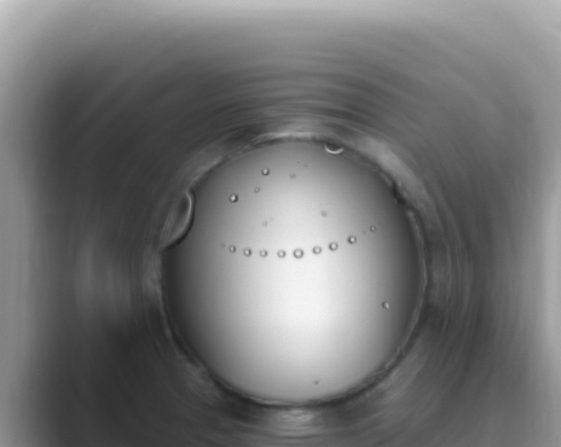 X0000089851329200707051108