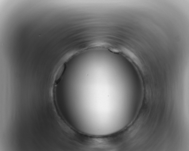 X0000089851330200707051108
