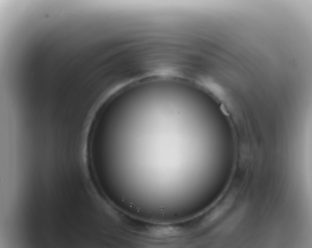 X0000089851331200707051108