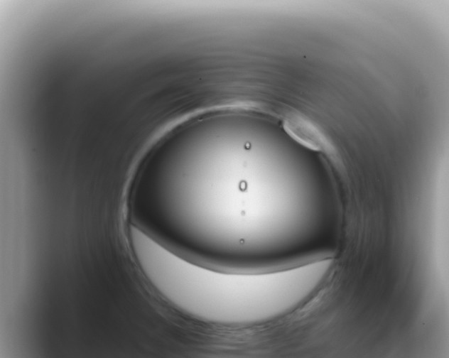 X0000089851332200707051108