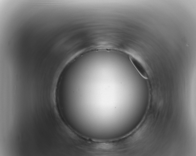 X0000089851333200707051108