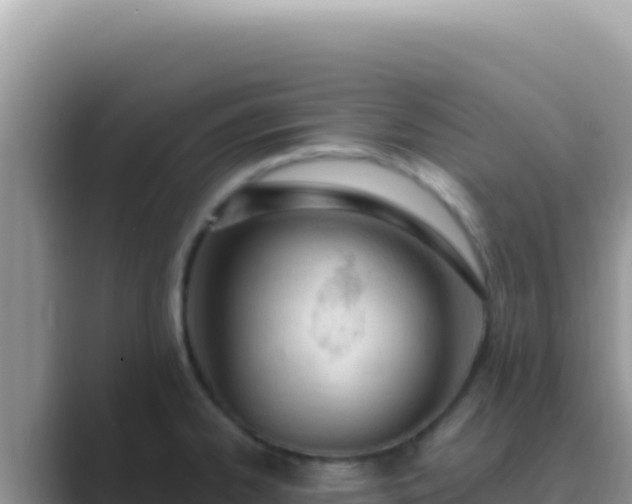 X0000089851334200707051108