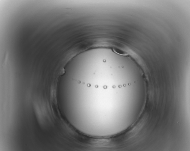 X0000089851337200707051108