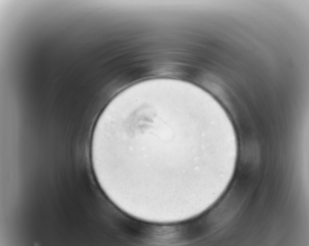 X0000089851338200707051108