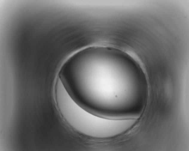 X0000089851344200707051108
