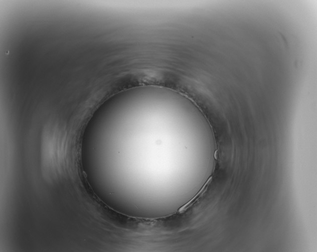 X0000089851345200707051107