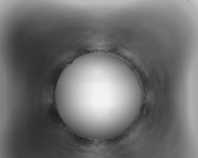 X0000089851350200707051107