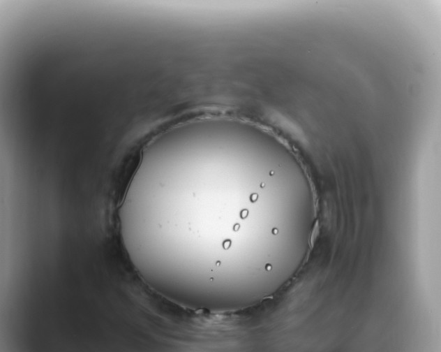 X0000089851352200707051107