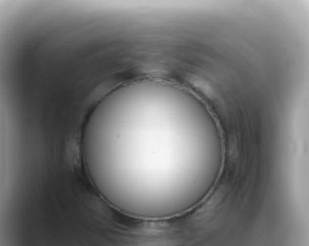X0000089851354200707051107