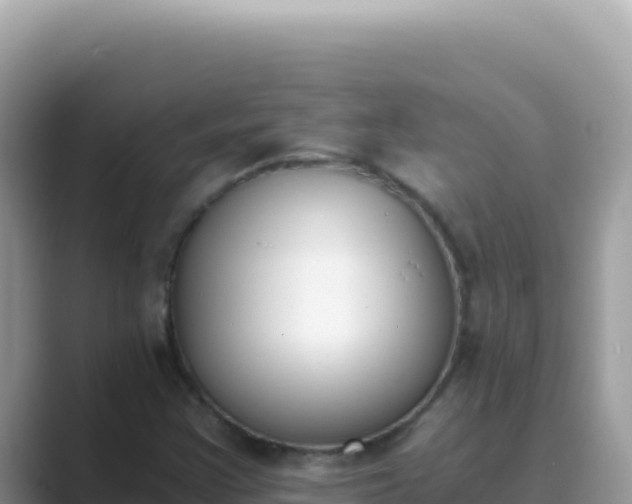 X0000089851355200707051107