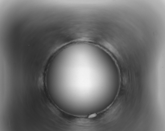 X0000089851356200707051107