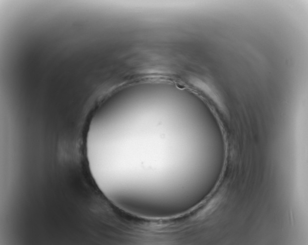 X0000089851357200707051107