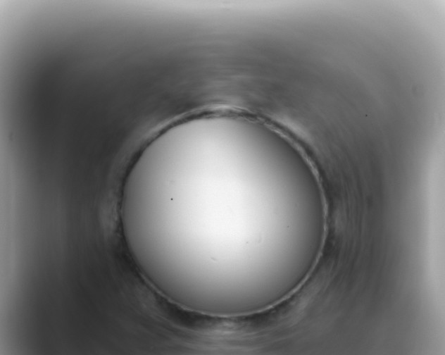 X0000089851359200707051107