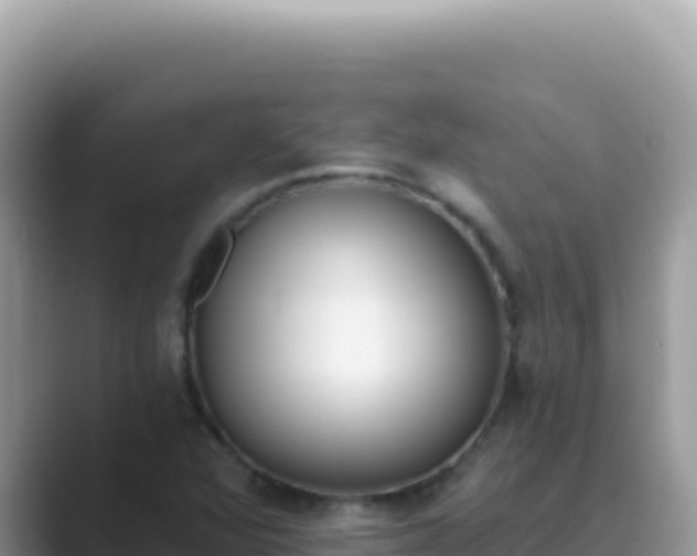 X0000089851360200707051107