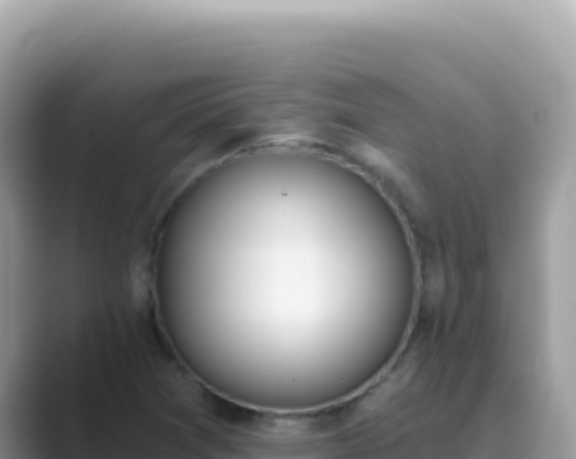 X0000089851361200707051107