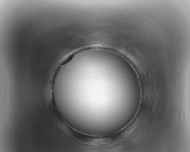 X0000089851367200707051107