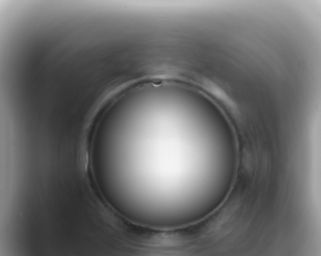 X0000089851368200707051107