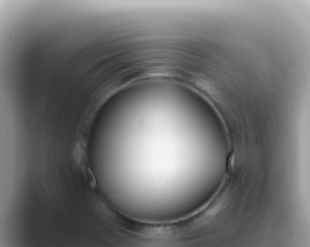 X0000089851369200707051107