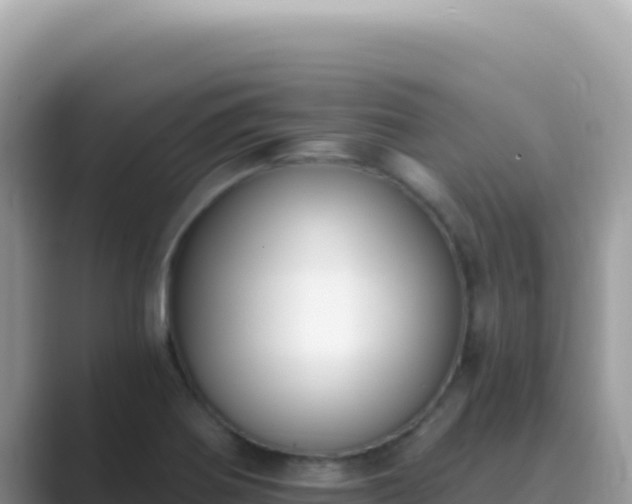 X0000089851370200707051107