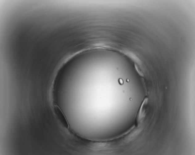 X0000089851373200707051107