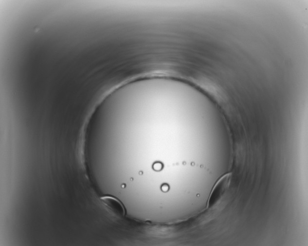 X0000089851374200707051107