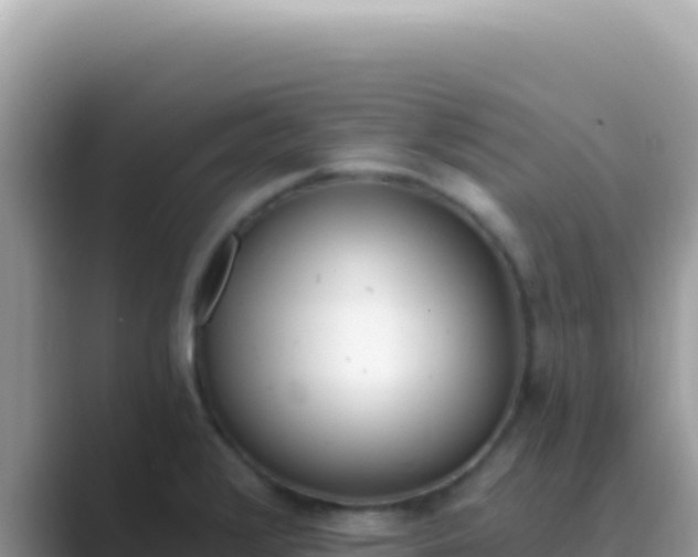 X0000089851376200707051107