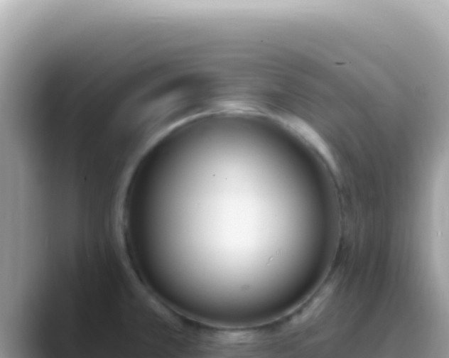 X0000089851381200707051107