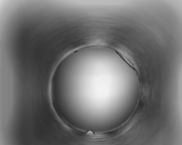X0000089851391200707051107