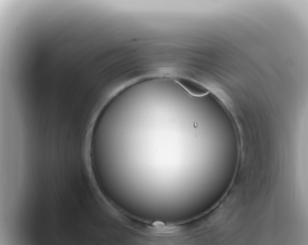 X0000089851392200707051107